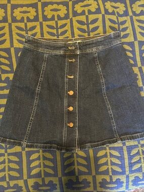 Madewell Dark Blue Denim Button-Front Mini Skirt